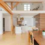 Loft Apartament Maiselova