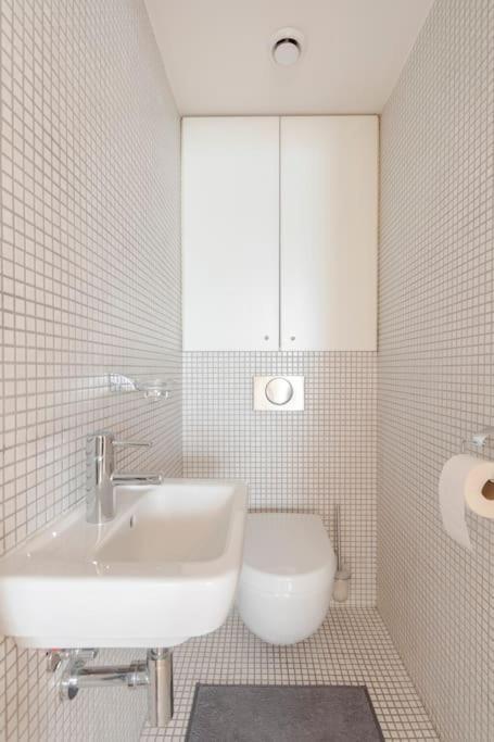 Appartamento Loft Maiselova *