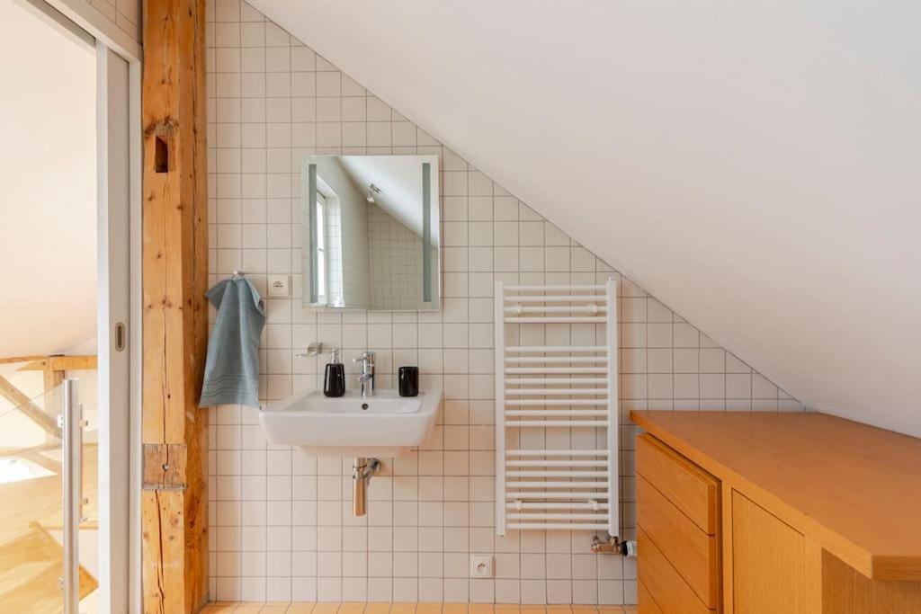 Appartamento Loft Maiselova