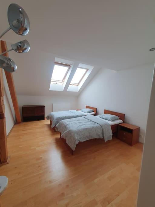 Loft Maiselova Appartamento