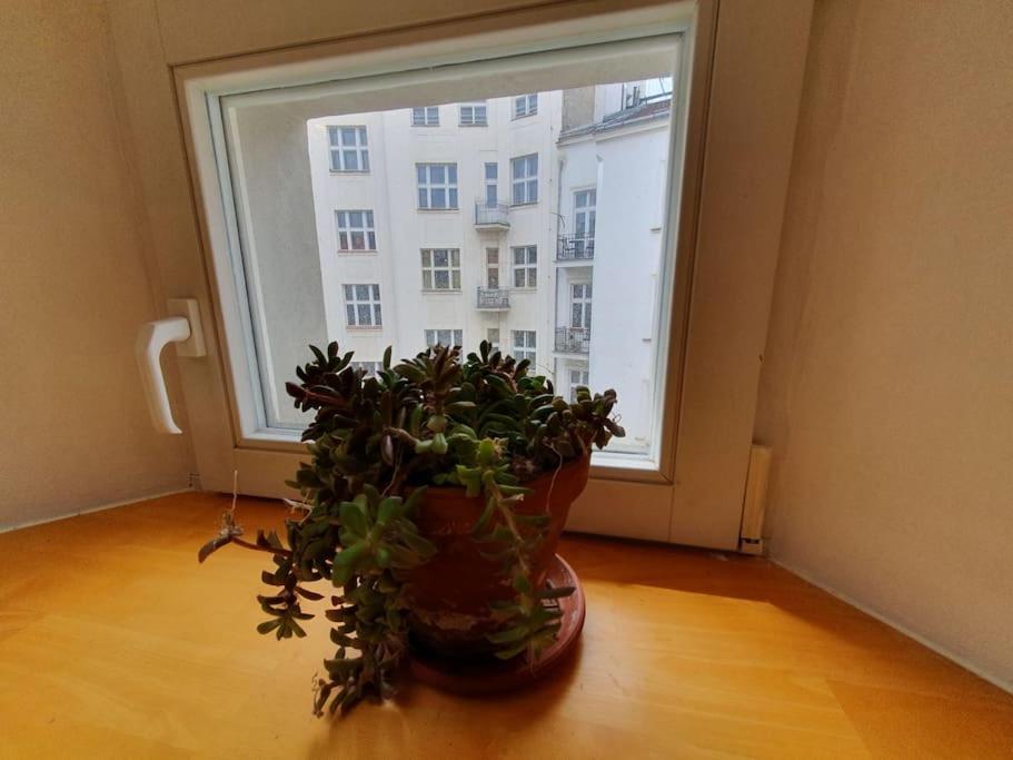 Loft Maiselova Appartamento Praga