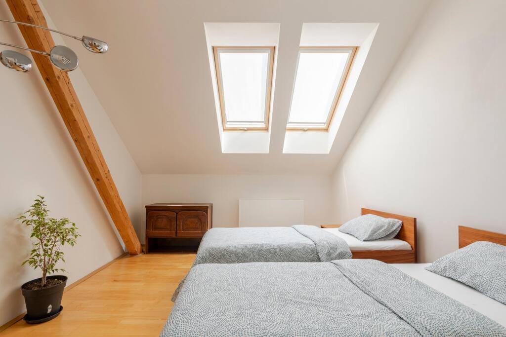 Loft Maiselova *