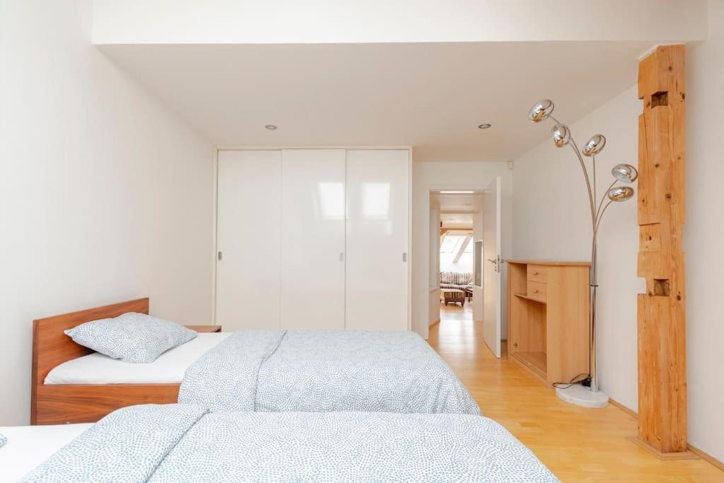 Appartamento Loft Maiselova