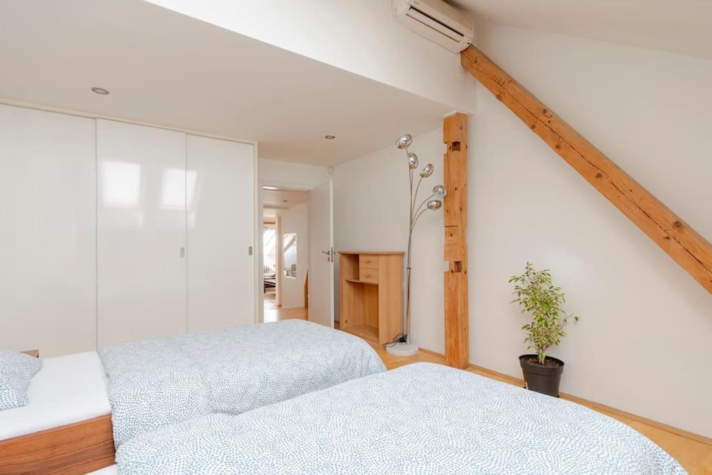 Appartamento Loft Maiselova *