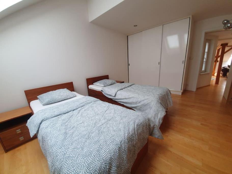 Loft Maiselova Appartamento
